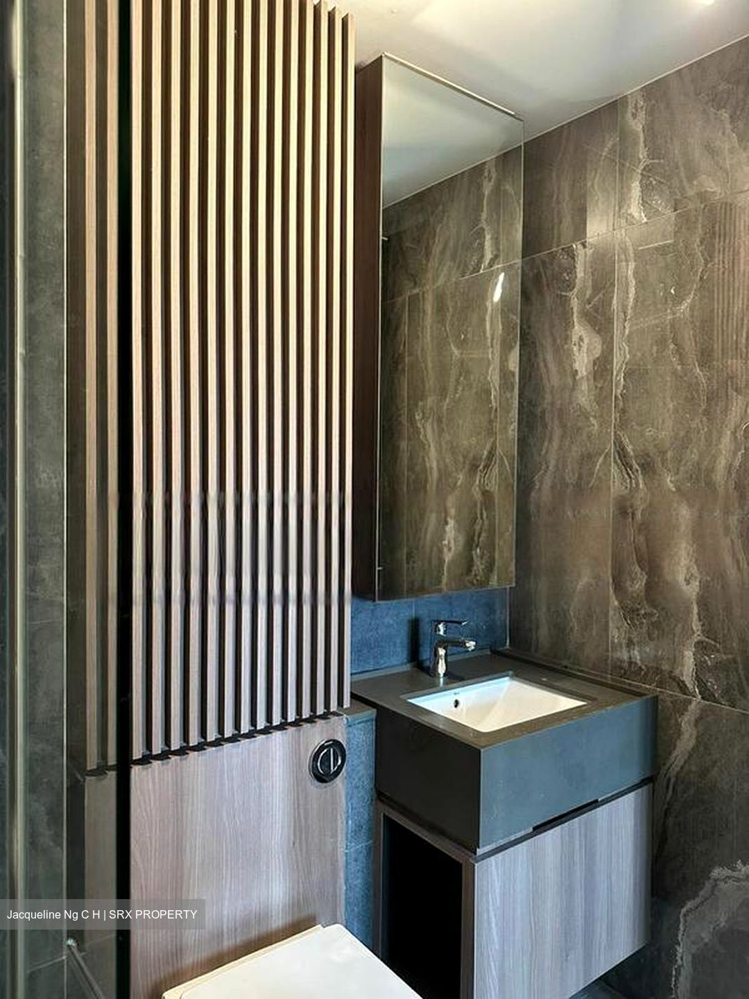 Midwood (D23), Condominium #610181161